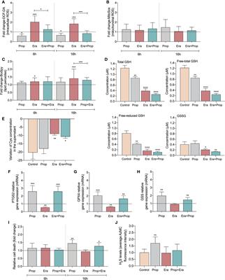 The Activation of Endothelial Cells Relies on a Ferroptosis-Like Mechanism: Novel Perspectives in Management of Angiogenesis and Cancer Therapy